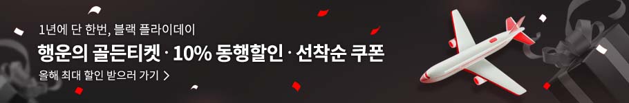 2025년 블랙플라이데이 기획전