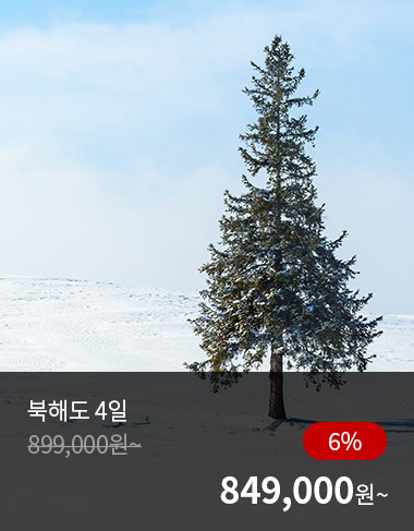 북해도 4일, 6%할인, 849000원 부터