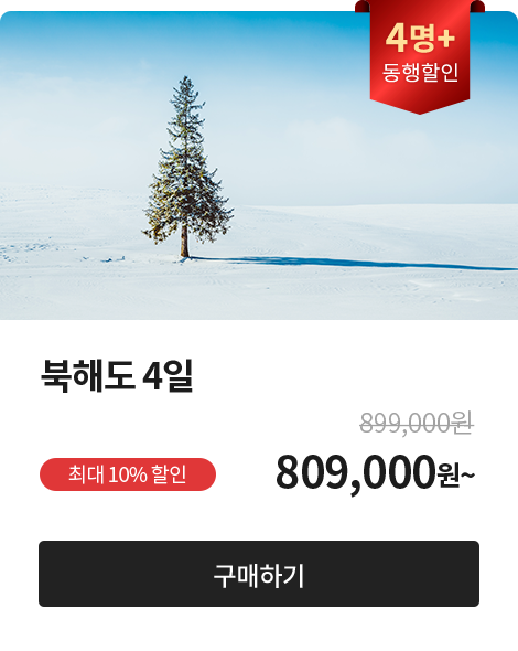 동행 4명+, 북해도 4일