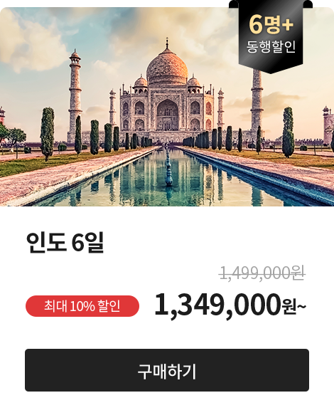 동행 6명+, 인도 6일