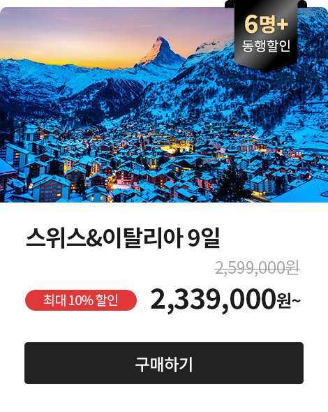 동행 6명+, 스위스&이탈리아 9일