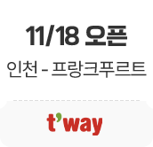 11/18 오픈. 인천-독일. 티웨이 항공